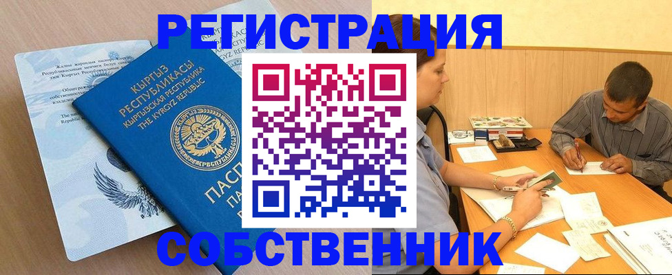 временная регистрация поиск в Курской области